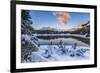 The colors of dawn on the snowy peaks and woods reflected in Malenco Valley Valtellina Lombardy Ita-ClickAlps-Framed Photographic Print