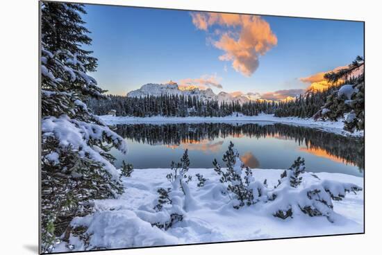 The colors of dawn on the snowy peaks and woods reflected in Malenco Valley Valtellina Lombardy Ita-ClickAlps-Mounted Photographic Print