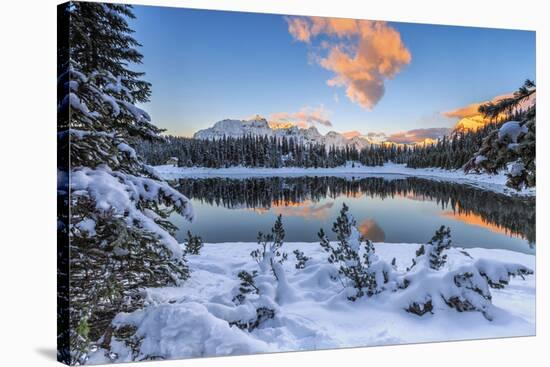 The colors of dawn on the snowy peaks and woods reflected in Malenco Valley Valtellina Lombardy Ita-ClickAlps-Stretched Canvas