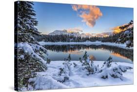 The colors of dawn on the snowy peaks and woods reflected in Malenco Valley Valtellina Lombardy Ita-ClickAlps-Stretched Canvas