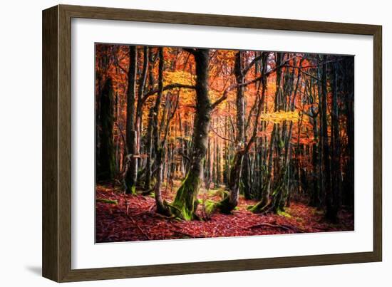The Colors of the Woods-Philippe Sainte-Laudy-Framed Photographic Print