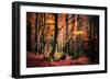 The Colors of the Woods-Philippe Sainte-Laudy-Framed Photographic Print