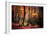 The Colors of the Woods-Philippe Sainte-Laudy-Framed Photographic Print