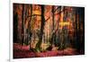 The Colors of the Woods-Philippe Sainte-Laudy-Framed Photographic Print