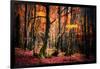 The Colors of the Woods-Philippe Sainte-Laudy-Framed Photographic Print