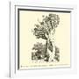 The Colossal Dragon Tree of Orotava in Teneriffe-null-Framed Giclee Print