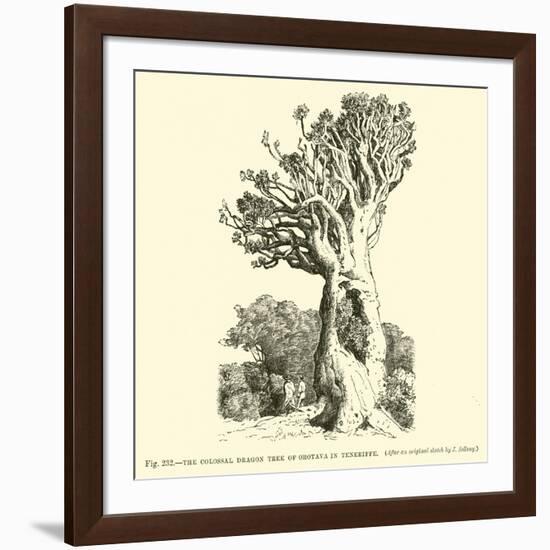 The Colossal Dragon Tree of Orotava in Teneriffe-null-Framed Giclee Print