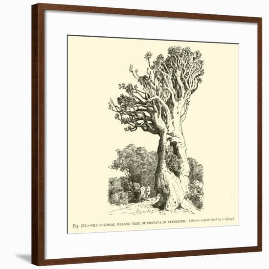 The Colossal Dragon Tree of Orotava in Teneriffe-null-Framed Giclee Print