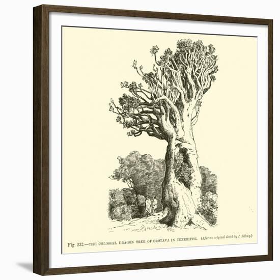 The Colossal Dragon Tree of Orotava in Teneriffe-null-Framed Giclee Print