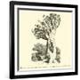 The Colossal Dragon Tree of Orotava in Teneriffe-null-Framed Giclee Print