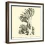 The Colossal Dragon Tree of Orotava in Teneriffe-null-Framed Giclee Print