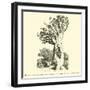 The Colossal Dragon Tree of Orotava in Teneriffe-null-Framed Giclee Print