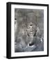 The Colossal Statue of Rameses II, 1852-Maxime Du Camp-Framed Photographic Print