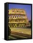 The Colosseum, Floodlit, Rome, Lazio, Italy-Roy Rainford-Framed Stretched Canvas