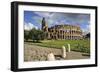 The Colosseum or Coliseum and a Roman Stone Pavement, Rome, Italy-Mauricio Abreu-Framed Photographic Print