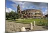 The Colosseum or Coliseum and a Roman Stone Pavement, Rome, Italy-Mauricio Abreu-Mounted Photographic Print
