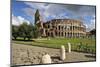 The Colosseum or Coliseum and a Roman Stone Pavement, Rome, Italy-Mauricio Abreu-Mounted Photographic Print