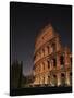 The Colosseum, Rome, Italy-Angelo Cavalli-Stretched Canvas