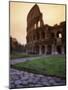 The Colosseum, Rome, Italy-Angelo Cavalli-Mounted Photographic Print