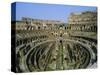 The Colosseum, Rome, Lazio, Italy, Europe-Julia Thorne-Stretched Canvas