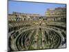 The Colosseum, Rome, Lazio, Italy, Europe-Julia Thorne-Mounted Photographic Print