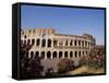 The Colosseum, Rome, Lazio, Italy, Europe-Nico Tondini-Framed Stretched Canvas