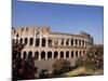 The Colosseum, Rome, Lazio, Italy, Europe-Nico Tondini-Mounted Photographic Print