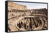 The Colosseum, Rome, Lazio, Italy, Europe-Simon Montgomery-Framed Stretched Canvas