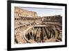 The Colosseum, Rome, Lazio, Italy, Europe-Simon Montgomery-Framed Photographic Print