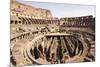 The Colosseum, Rome, Lazio, Italy, Europe-Simon Montgomery-Mounted Photographic Print