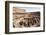 The Colosseum, Rome, Lazio, Italy, Europe-Simon Montgomery-Framed Photographic Print