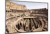 The Colosseum, Rome, Lazio, Italy, Europe-Simon Montgomery-Mounted Photographic Print