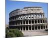 The Colosseum, Rome, Lazio, Italy-Roy Rainford-Mounted Photographic Print