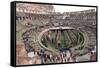 The Colosseum, UNESCO World Heritage Site, Rome, Lazio, Italy, Europe-Carlo-Framed Stretched Canvas