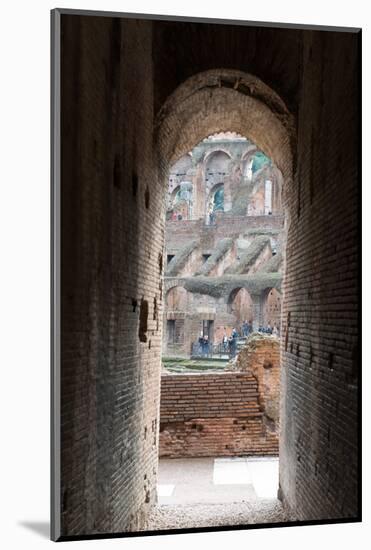 The Colosseum, UNESCO World Heritage Site, Rome, Lazio, Italy, Europe-Carlo-Mounted Photographic Print