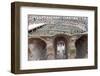 The Colosseum, UNESCO World Heritage Site, Rome, Lazio, Italy, Europe-Carlo-Framed Photographic Print