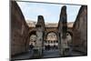 The Colosseum, UNESCO World Heritage Site, Rome, Lazio, Italy, Europe-Carlo-Mounted Photographic Print