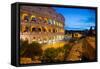 The Colosseum, UNESCO World Heritage Site, Rome, Lazio, Italy, Europe-Frank Fell-Framed Stretched Canvas