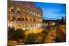 The Colosseum, UNESCO World Heritage Site, Rome, Lazio, Italy, Europe-Frank Fell-Mounted Photographic Print