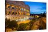The Colosseum, UNESCO World Heritage Site, Rome, Lazio, Italy, Europe-Frank Fell-Stretched Canvas