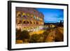 The Colosseum, UNESCO World Heritage Site, Rome, Lazio, Italy, Europe-Frank Fell-Framed Photographic Print