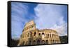 The Colosseum-Stefano Amantini-Framed Stretched Canvas