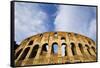 The Colosseum-Stefano Amantini-Framed Stretched Canvas