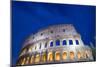 The Colosseum-Stefano Amantini-Mounted Photographic Print