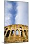 The Colosseum-Stefano Amantini-Mounted Photographic Print