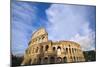 The Colosseum-Stefano Amantini-Mounted Photographic Print