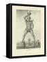 The Colossus of Rhodes-Petrus Josephus Witdoeck-Framed Stretched Canvas