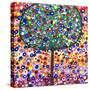 The Colour Tree-Caroline Duncan-Stretched Canvas