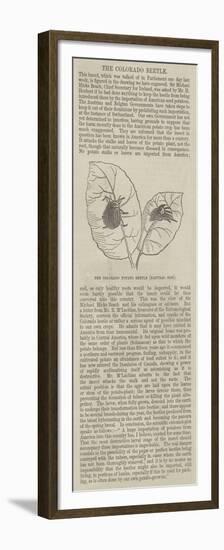 The Colourado Potato Beetle-null-Framed Premium Giclee Print