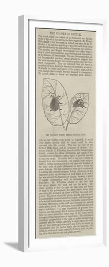 The Colourado Potato Beetle-null-Framed Premium Giclee Print